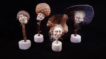 Forest Creatures